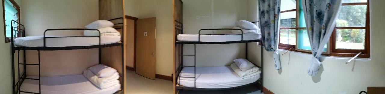 טאנה ראטה Sweet Potato Apartment מראה חיצוני תמונה